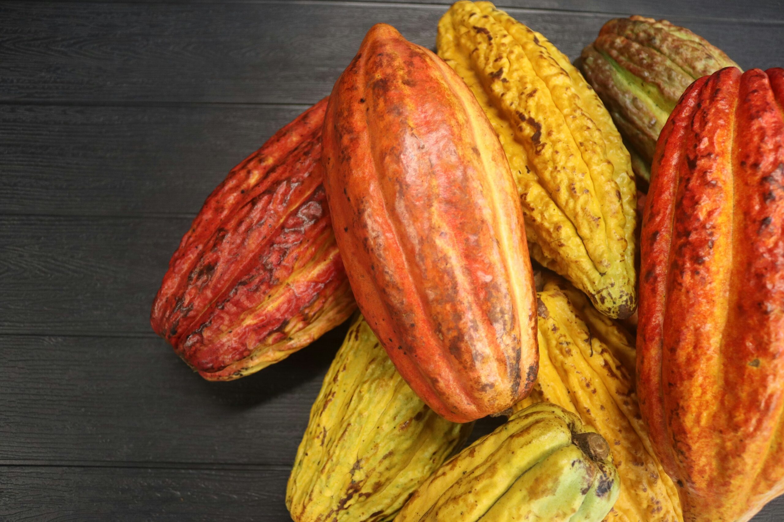 Cocoa Supply & Export