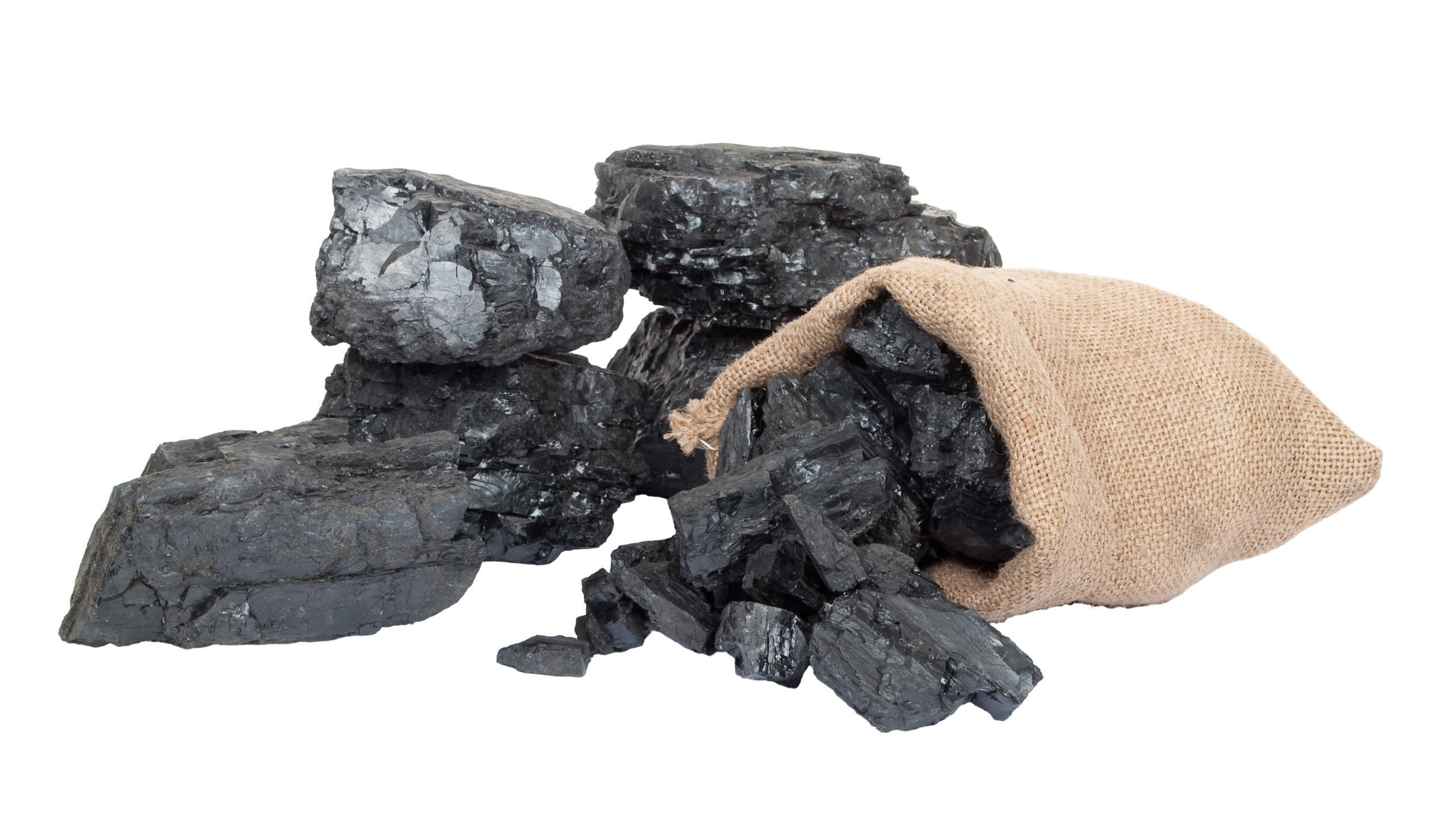 Wood Logs & Charcoal Supply Services